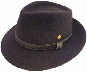 Fedora 