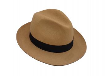 Fedora 