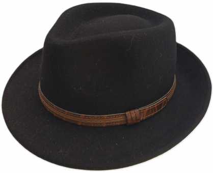 Fedora 